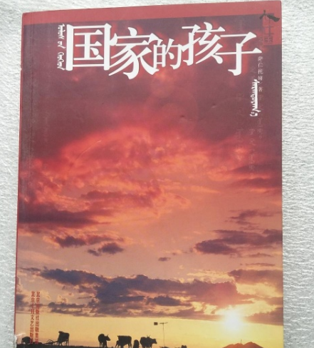 国家的孩子