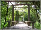 麦积山植物园