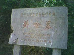 樊哙