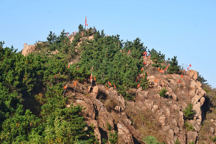 海南省乐东黎族自治县志仲镇毛公山变质岩.jpeg