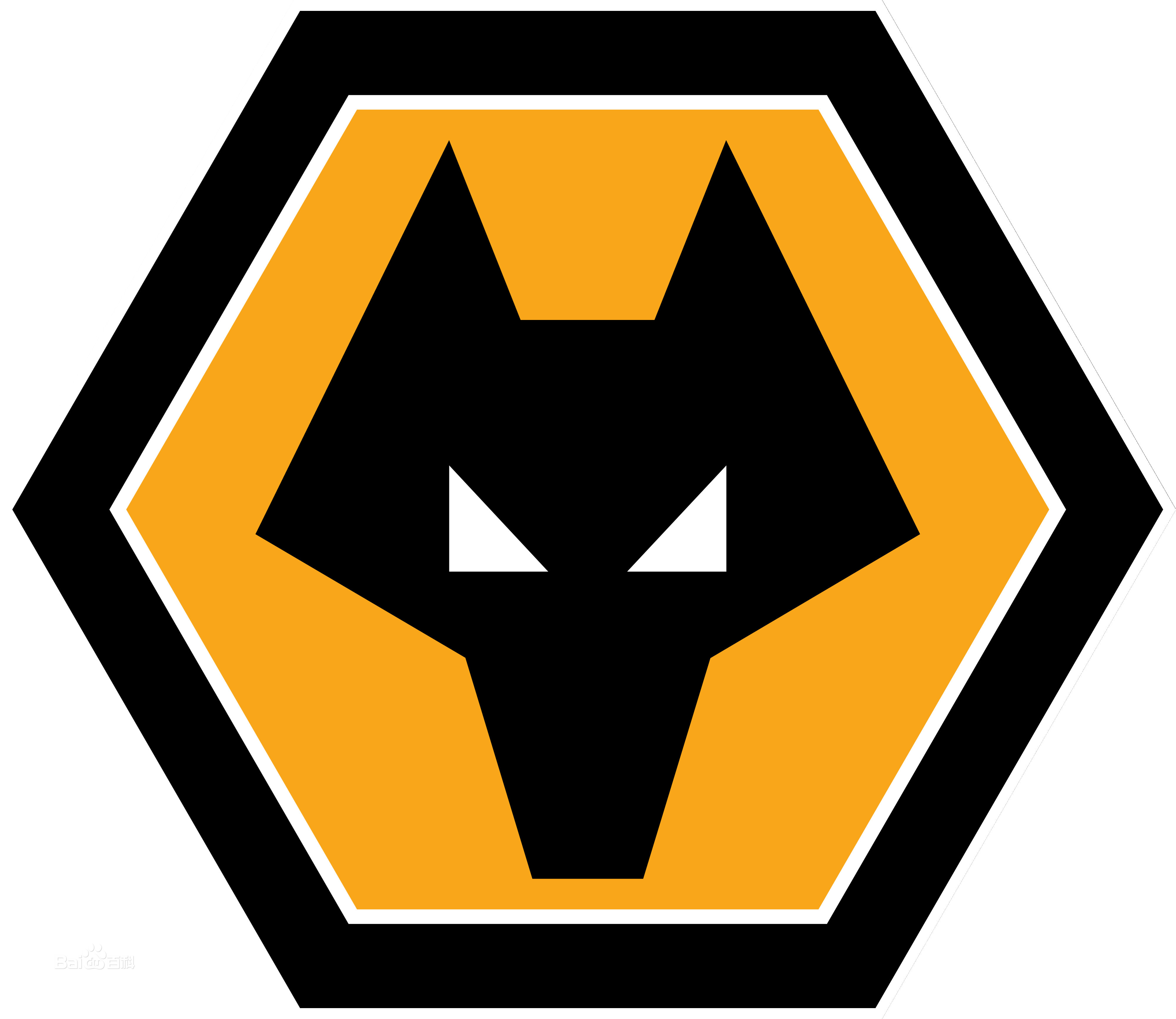 沃尔夫汉普顿流浪者足球俱乐部