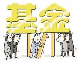 城乡医疗救助基金管理办法