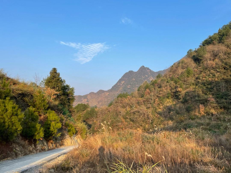 华东地区