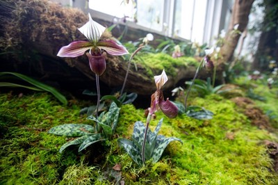 怒江傈僳族自治州