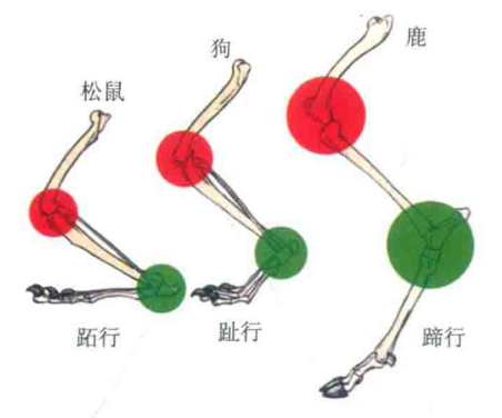 粘贴图片1-1694526820398.png