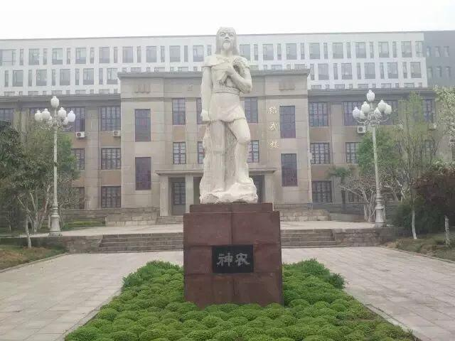 山东农业大学