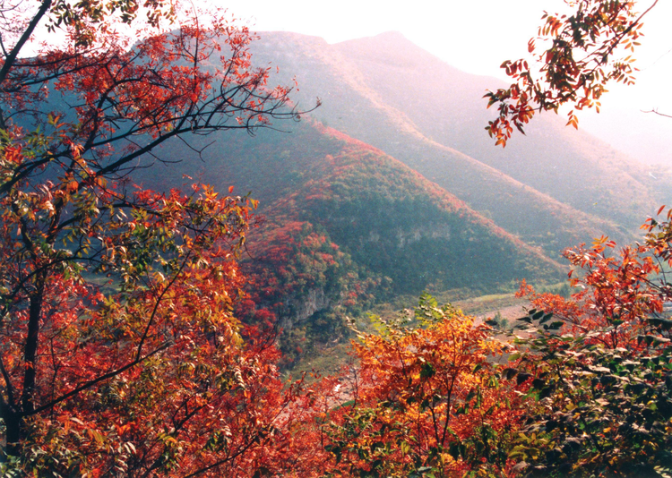凤凰山