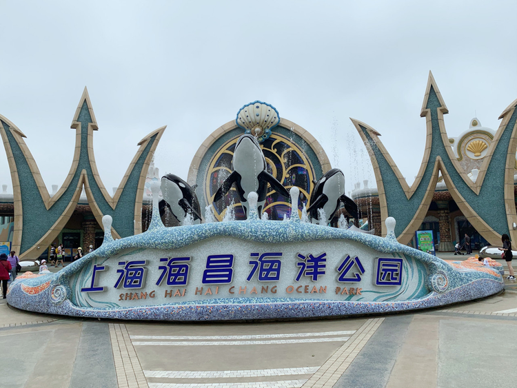 中国(上海)自由贸易试验区临港新片区