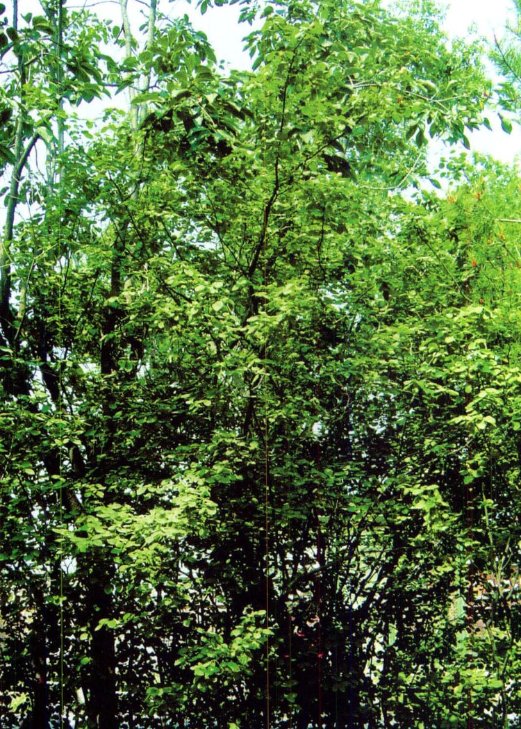 d11073.0246.5[49804c462609].jpeg