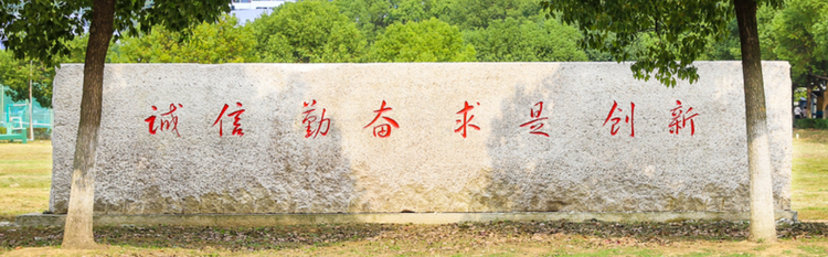 南京理工大学紫金学院