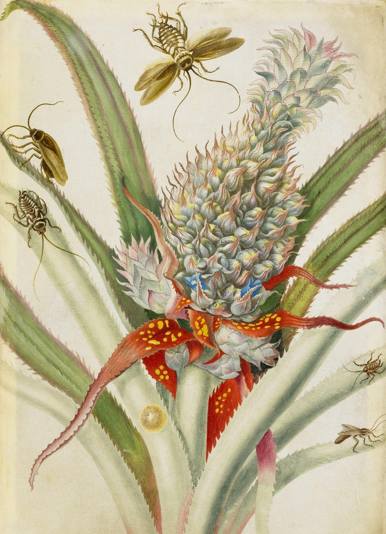 《A pineapple surrounded by cockroaches》.jpeg