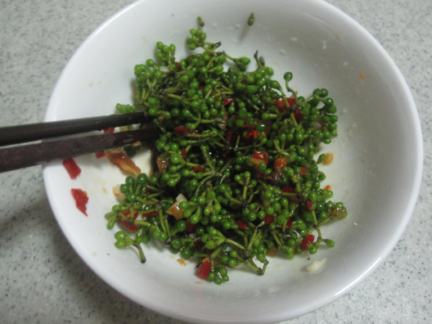 山胡椒