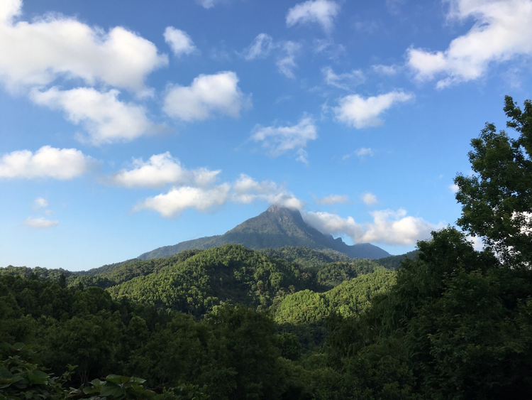 五指山自然保护区.jpeg