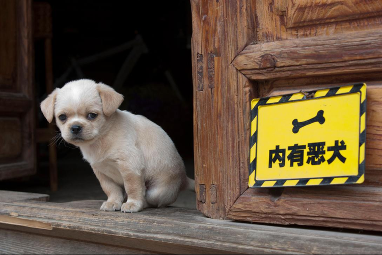 QQ空间创意摄影大赛