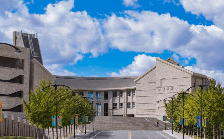 大连东软信息学院
