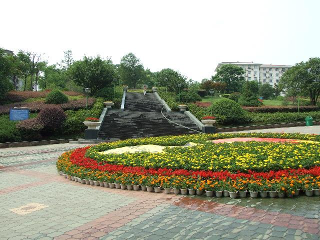 东山