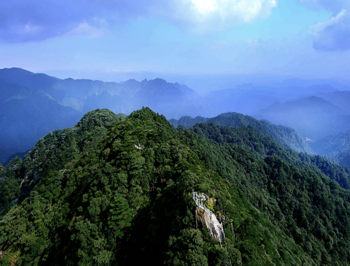 南岭国家级自然保护区.png