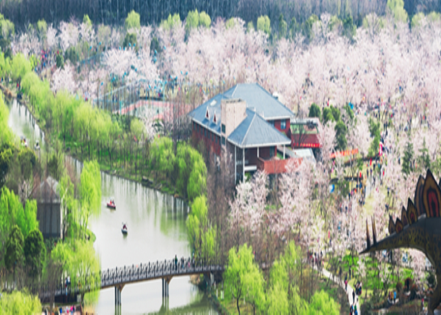 顾村公园.png