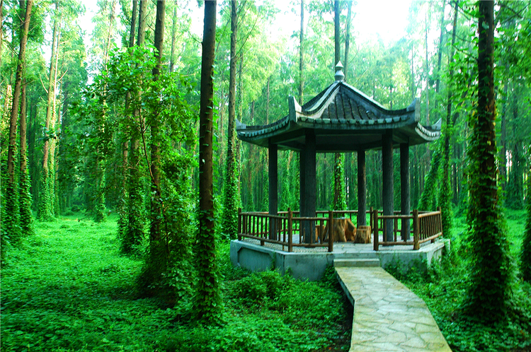 宝应县