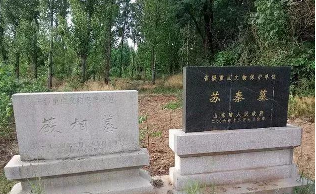 山东临淄苏秦墓.png