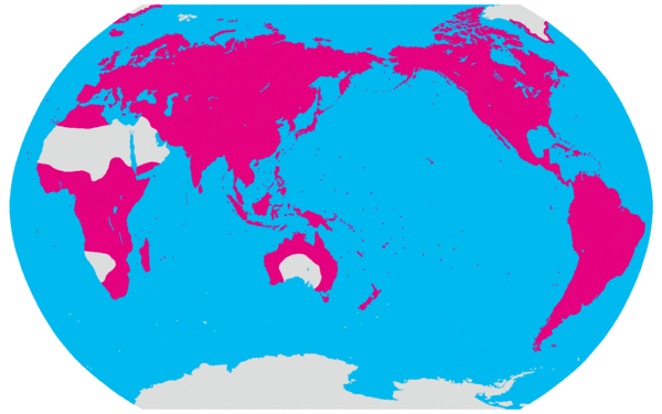 600px-PolypodiaceaeMap.gif