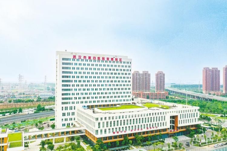 东西湖区