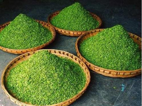 黔南布依族苗族自治州