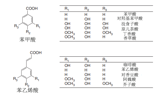 抗氧化剂