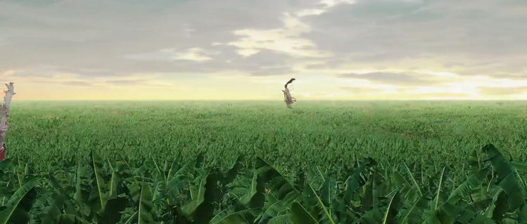 再次与光明对话