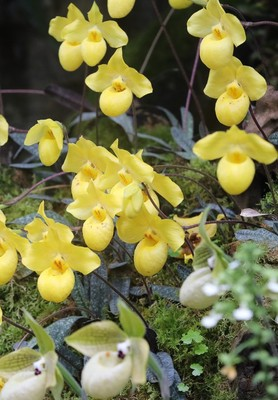 怒江傈僳族自治州