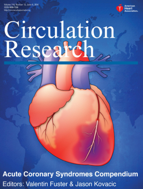 circulation