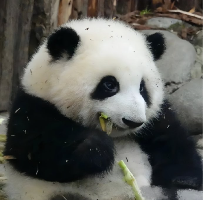 微信截图_20230808160636.png