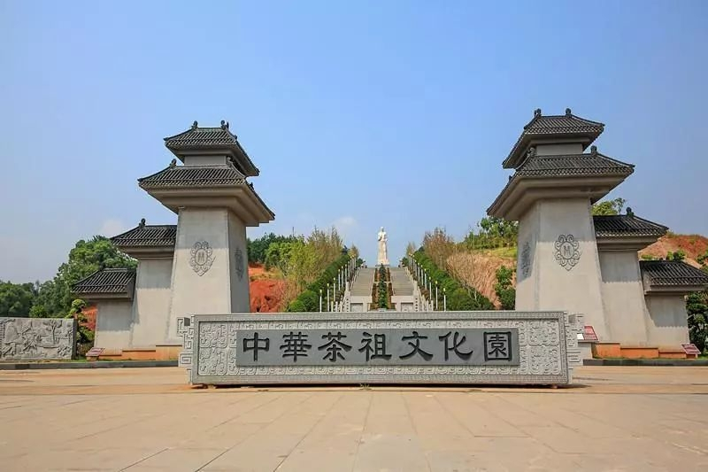 茶陵县