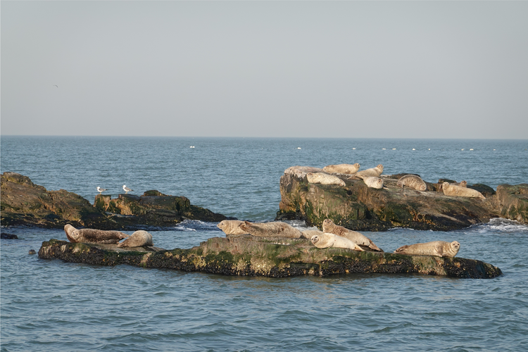 长岛海洋生态文明综合试验区