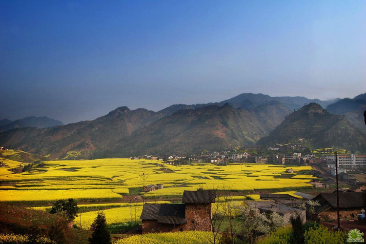 大河村