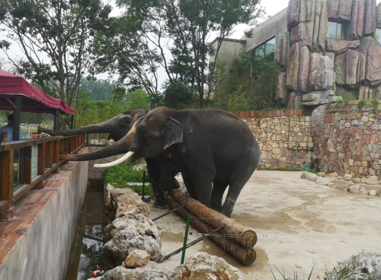 紫清湖野生动物世界