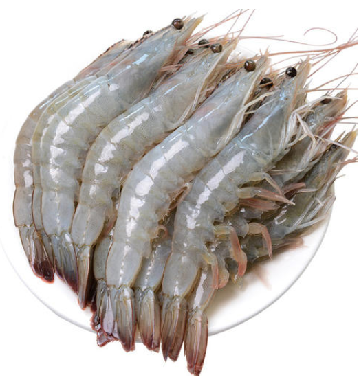 渤海对虾