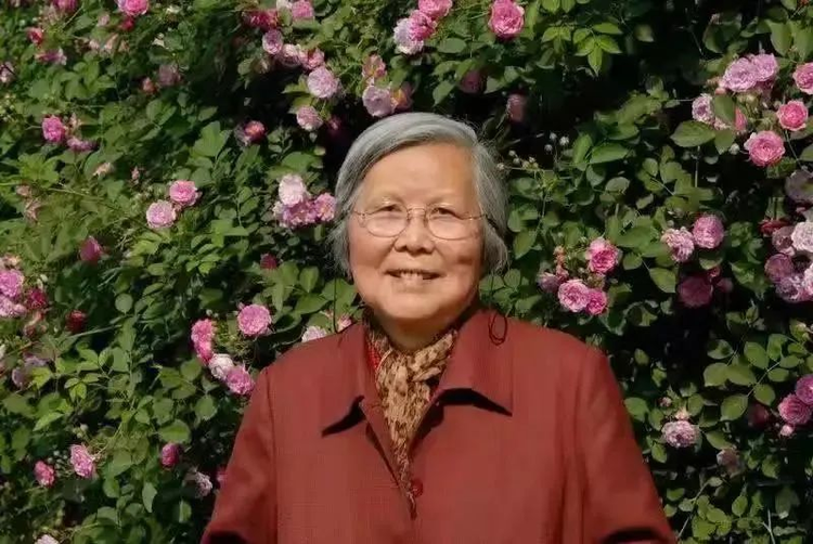 丰子恺
