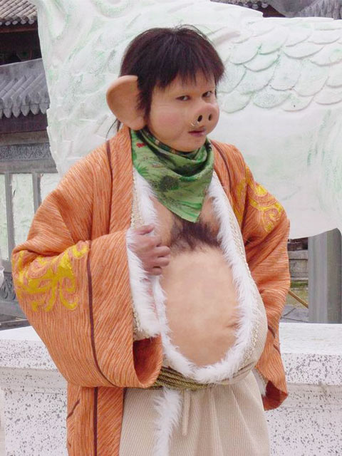 喜气洋洋猪八戒
