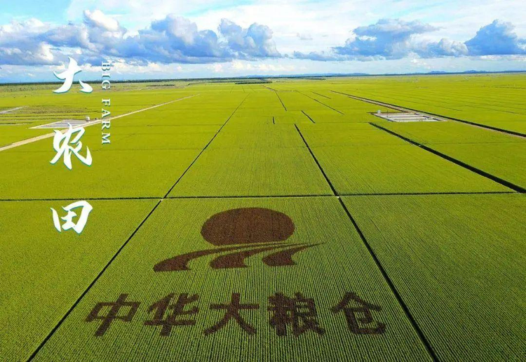 大农田.jpeg