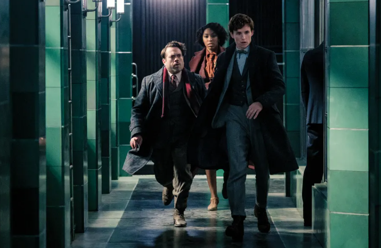 神奇动物：邓布利多之谜