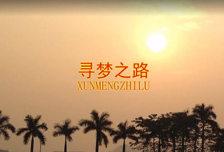 寻梦之路