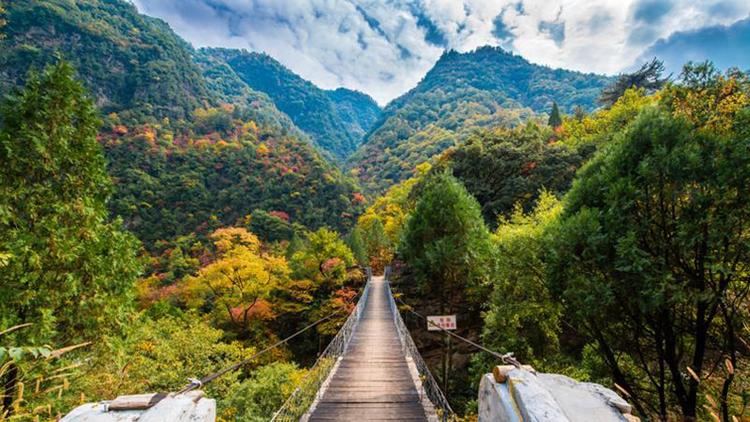 黑河