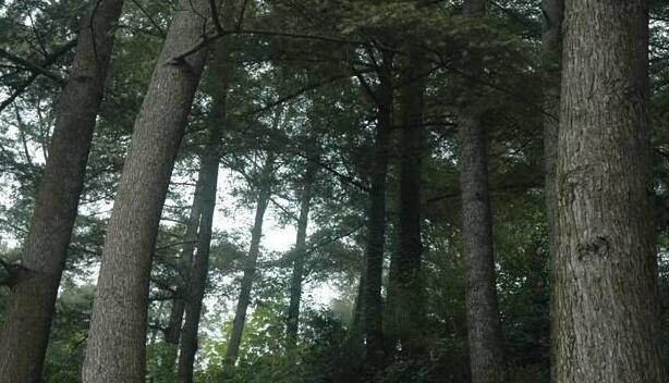 玉山县