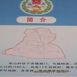 东山村