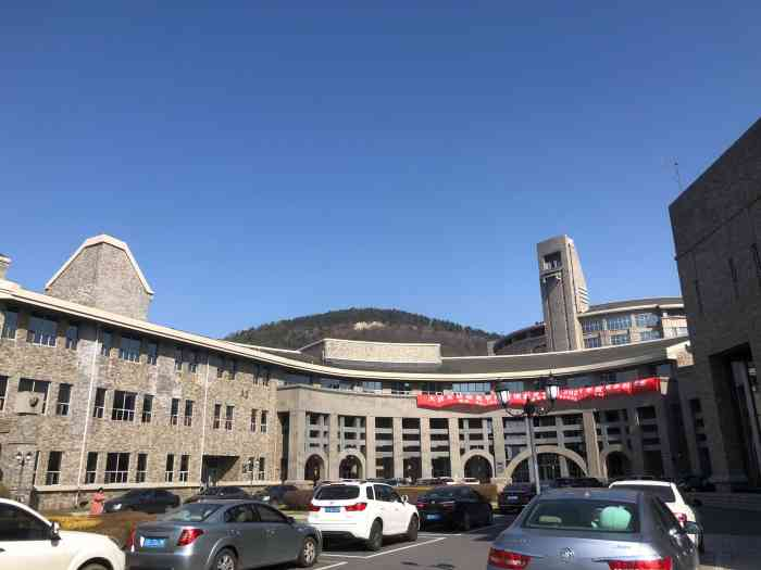 大连东软信息学院