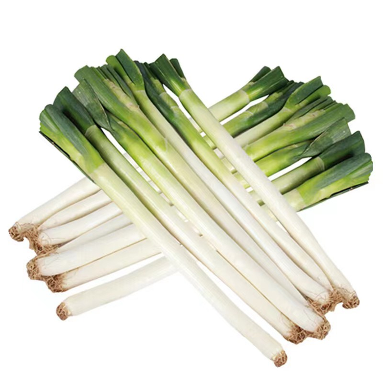 章丘大葱