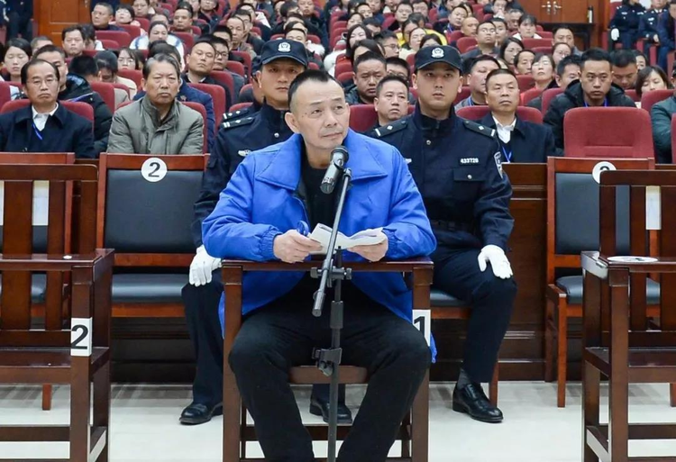 2019年度人民法院十大刑事案件