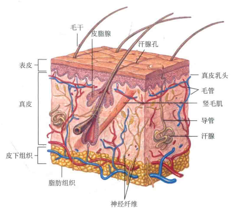 粘贴图片1-1694526607962.png