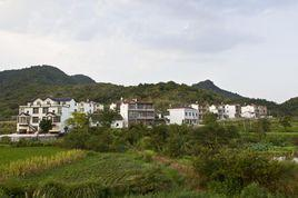 东山村